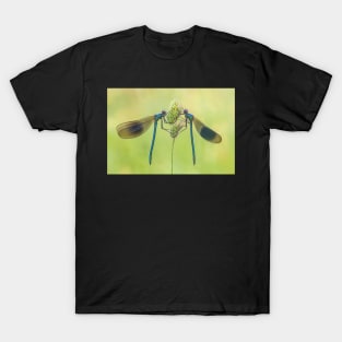 Two Male Banded Demoiselles on a Grass Stalk T-Shirt